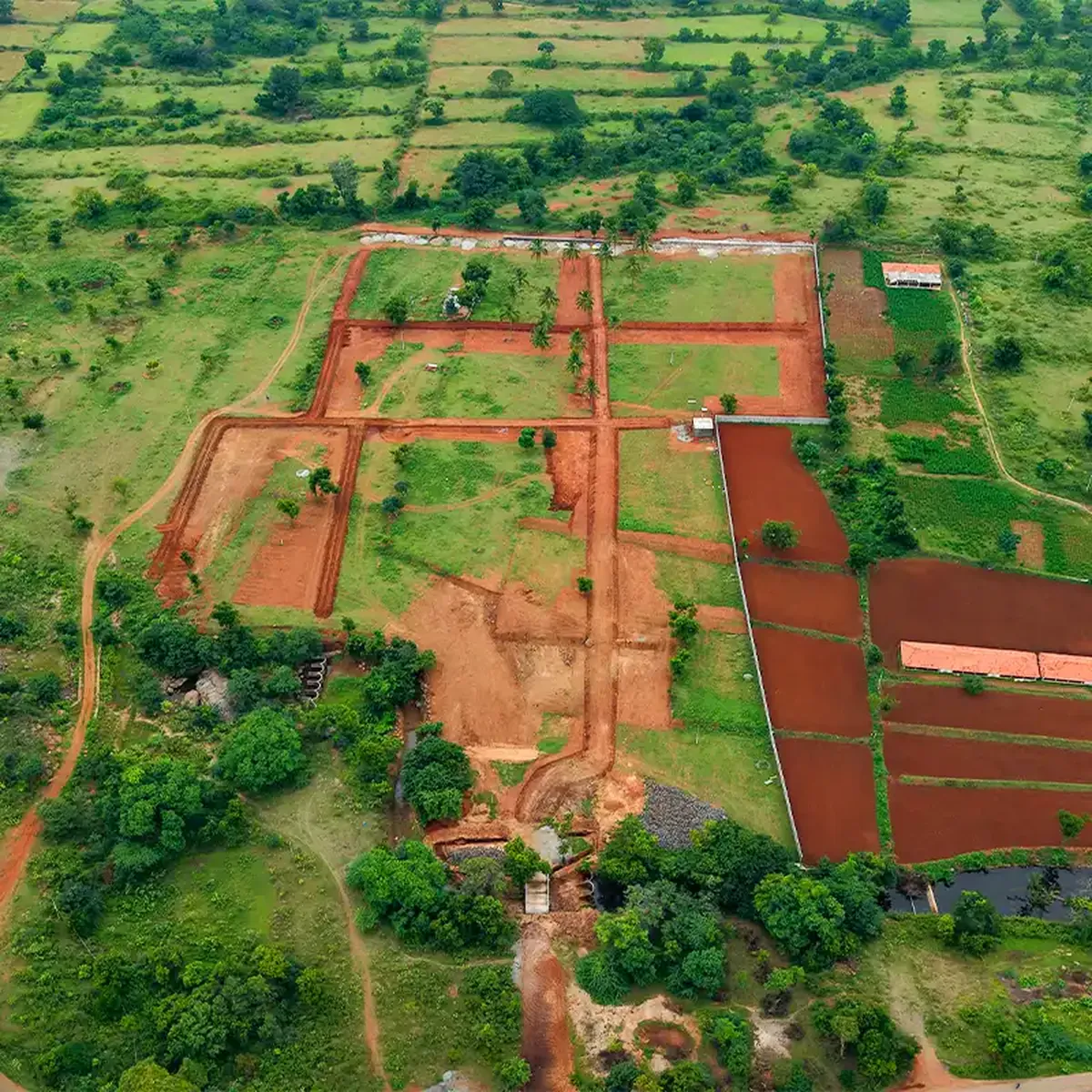 Raaga plantations