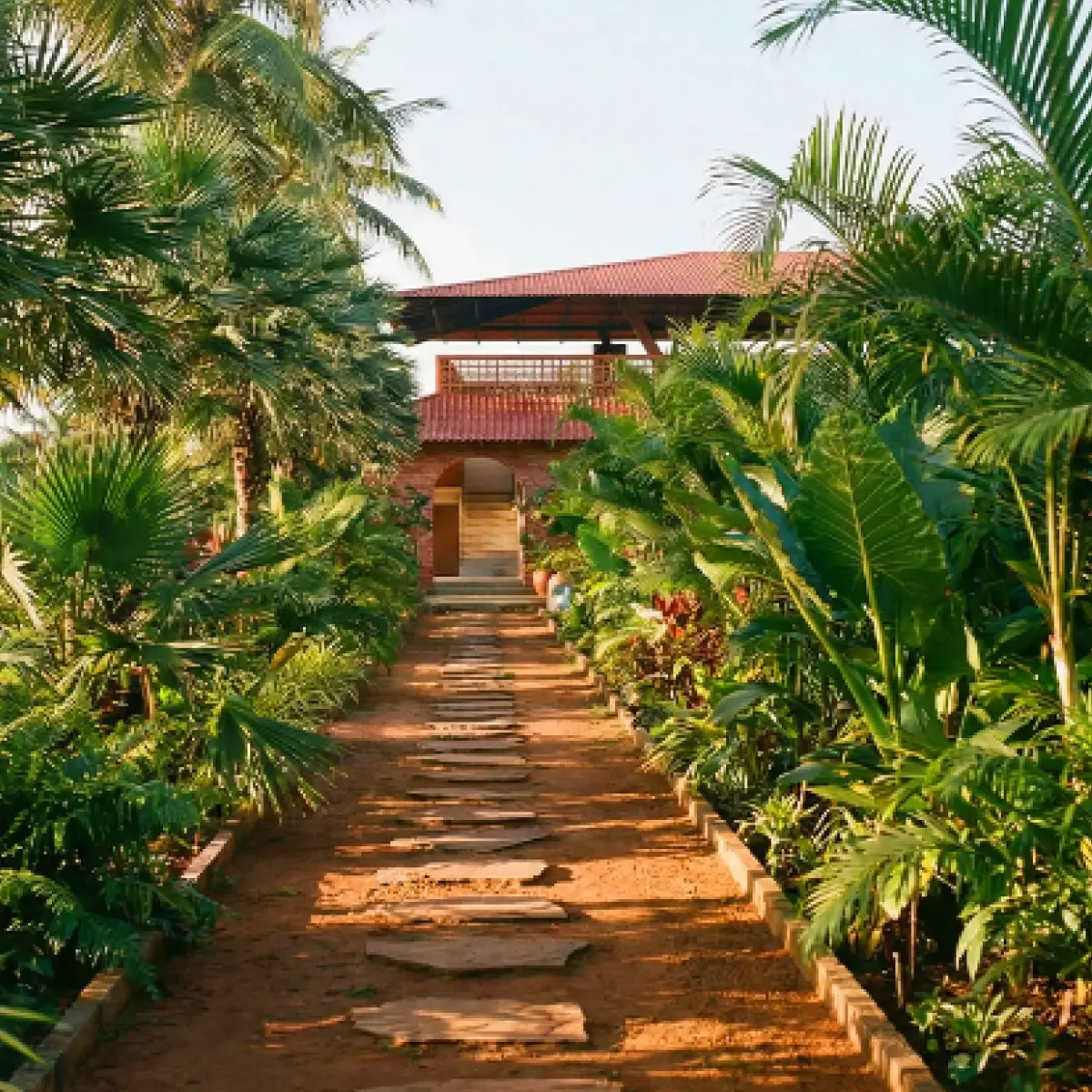 The Vruksha land, planted and tended